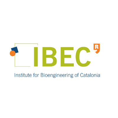 IBEC