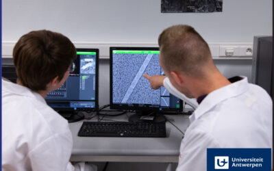 Open positions in cable bacteria research!