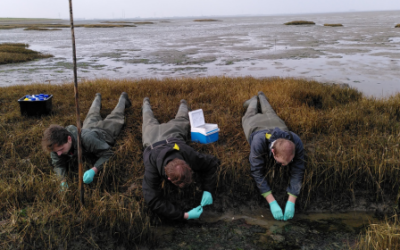 PhD dissertation defence by Philip Ley